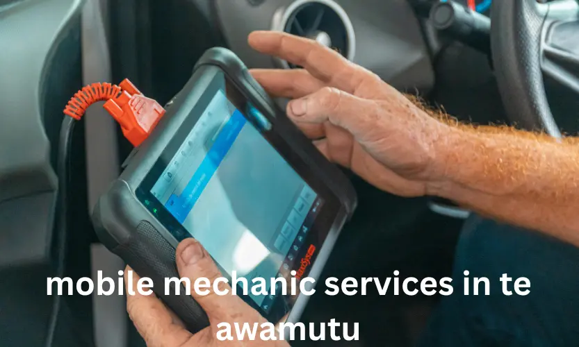 mobile mechanic services in te awamutu