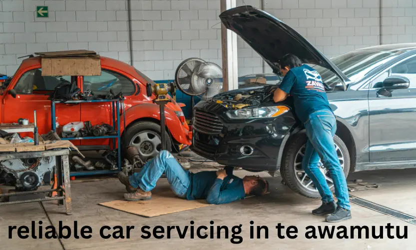 reliable car servicing in te awamutu